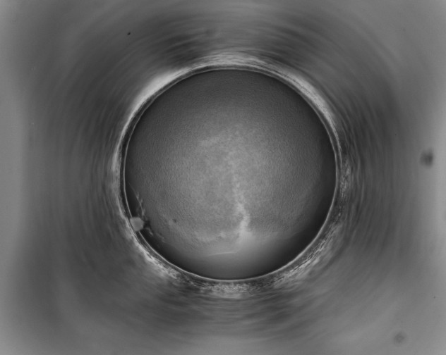 X0000100931053200807011217