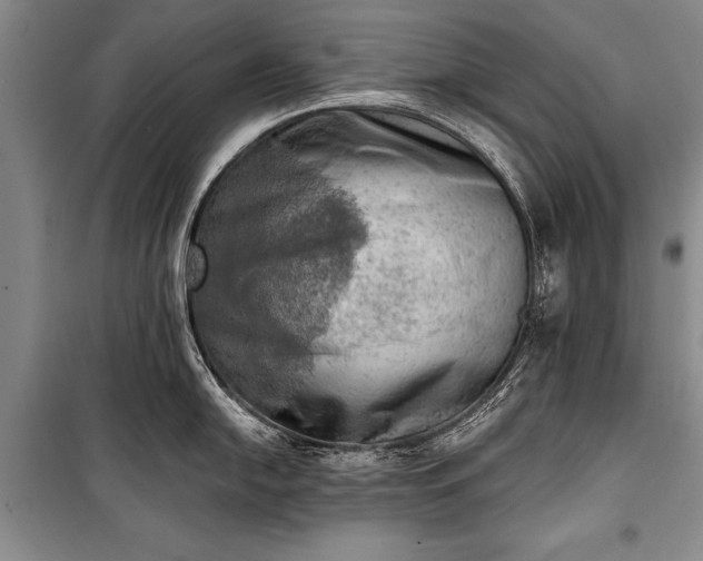 X0000100931054200807011217