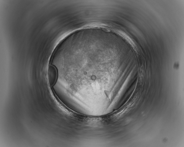 X0000100931055200807011217