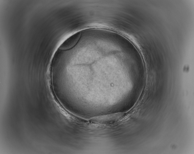 X0000100931056200807011217