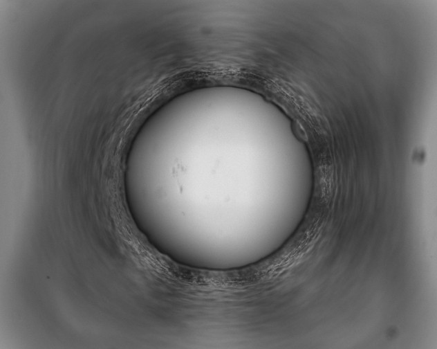 X0000100931057200807011216