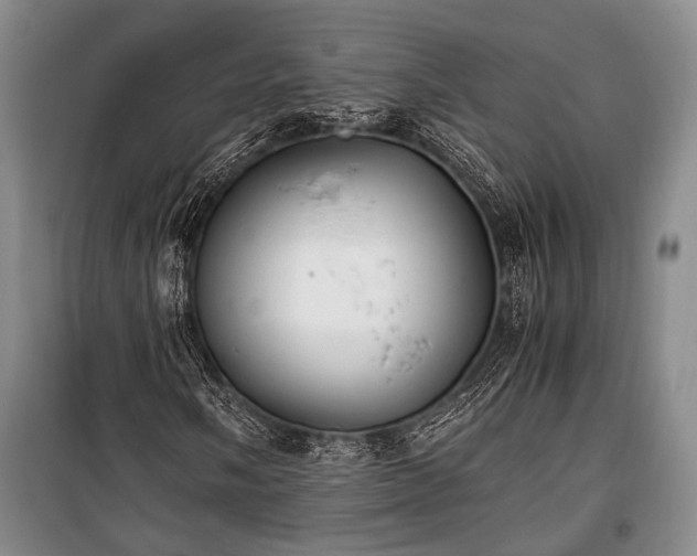 X0000100931058200807011216