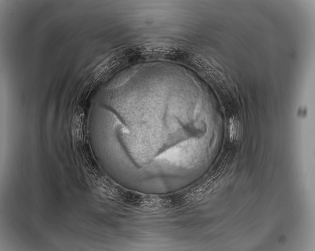 X0000100931059200807011216