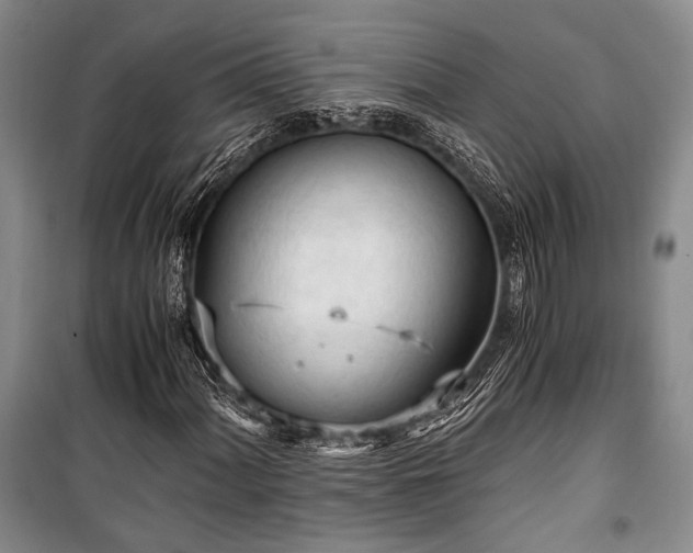 X0000100931060200807011216