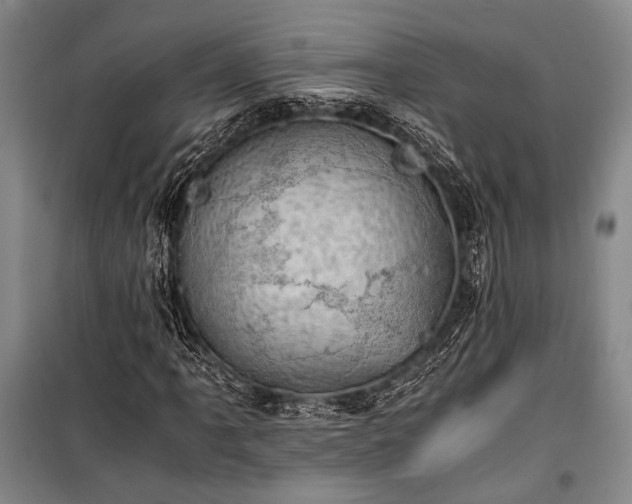 X0000100931061200807011216