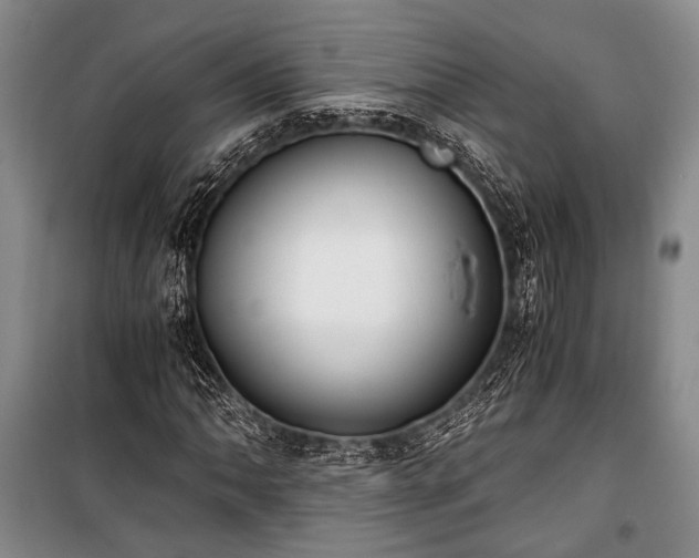 X0000100931062200807011216