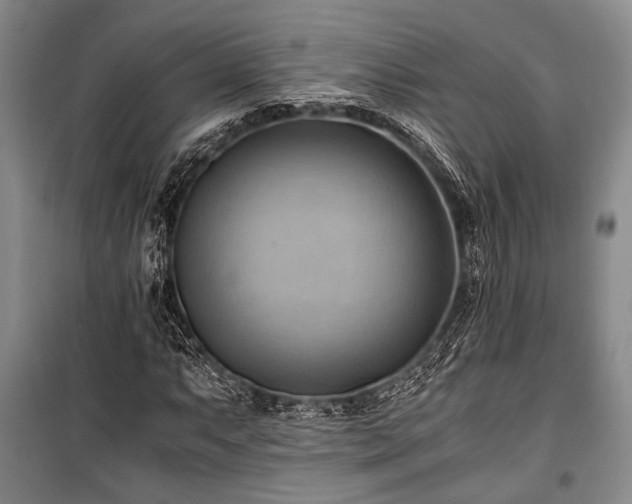 X0000100931063200807011216