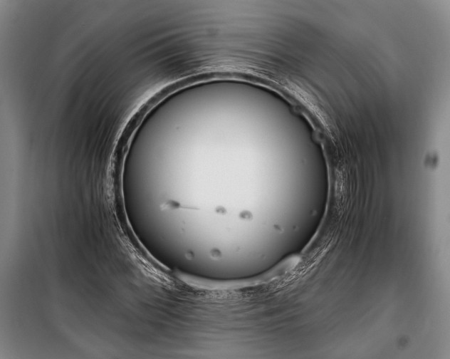 X0000100931068200807011216