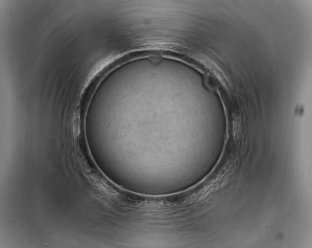 X0000100931069200807011216