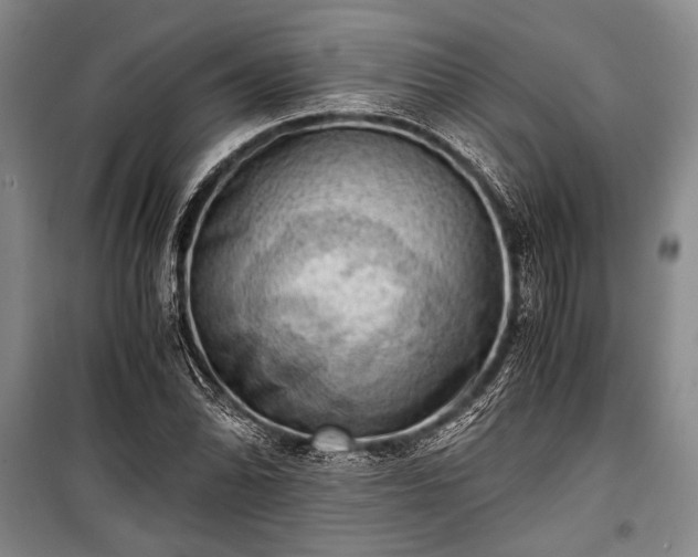 X0000100931070200807011216