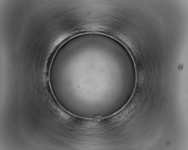 X0000100931071200807011216