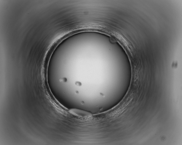 X0000100931072200807011216