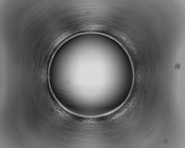 X0000100931073200807011216