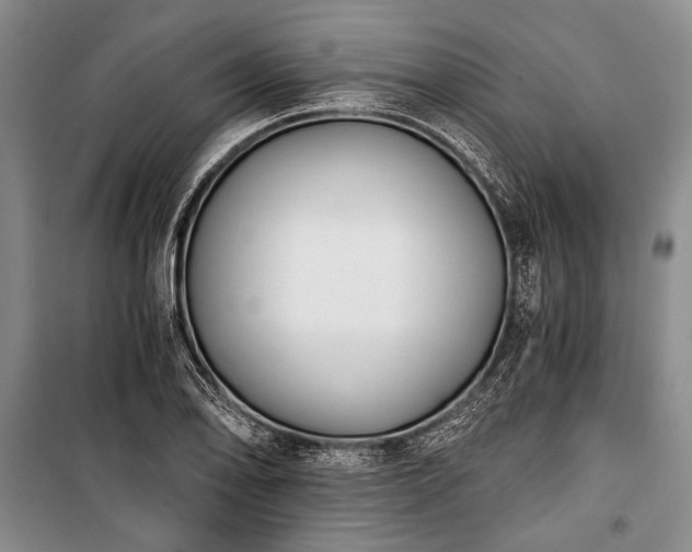 X0000100931078200807011216