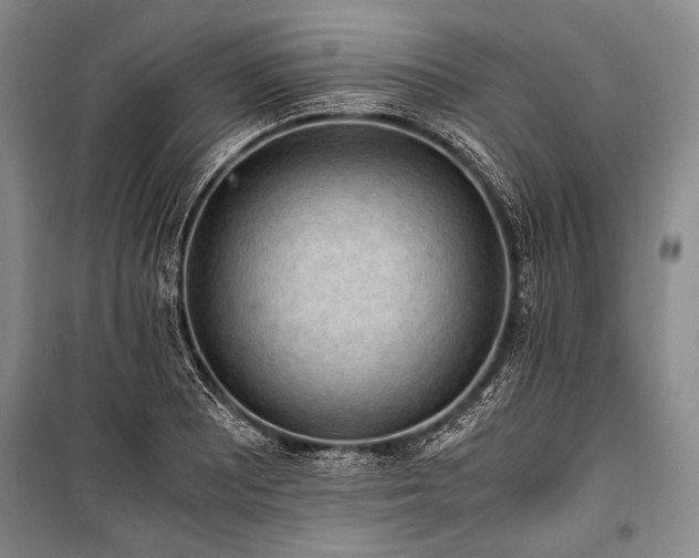 X0000100931081200807011216