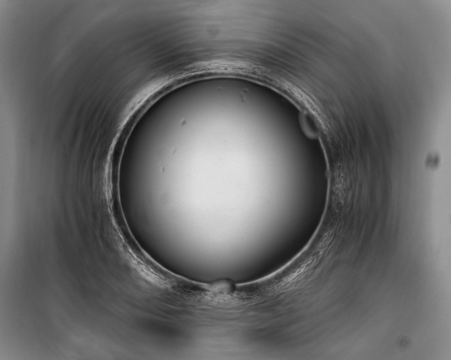 X0000100931082200807011216