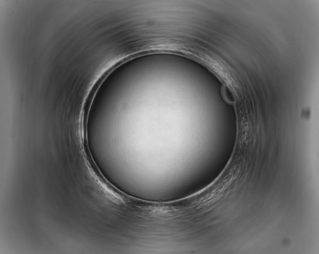 X0000100931084200807011216