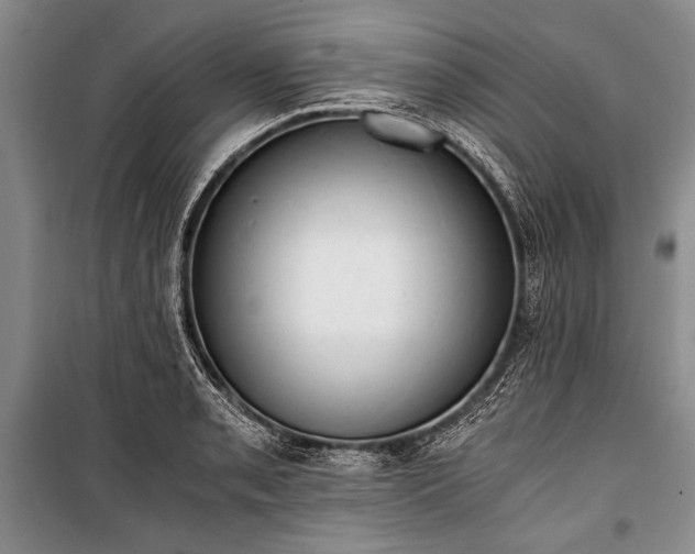 X0000100931085200807011216