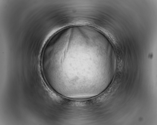 X0000100931086200807011216