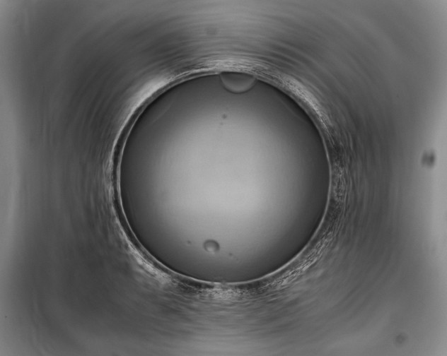 X0000100931087200807011216