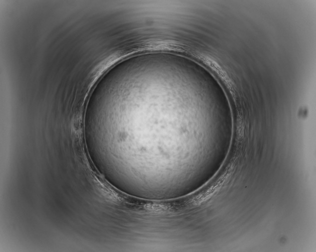 X0000100931089200807011216