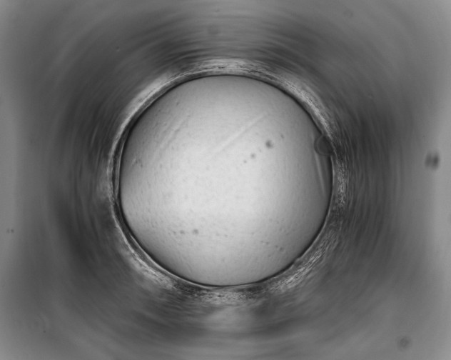 X0000100931090200807011216