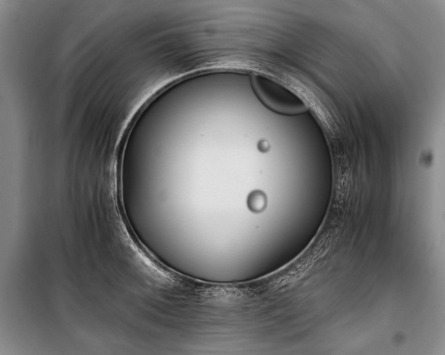 X0000100931092200807011215