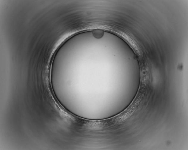 X0000100931094200807011215