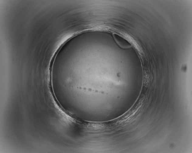 X0000100931095200807011215