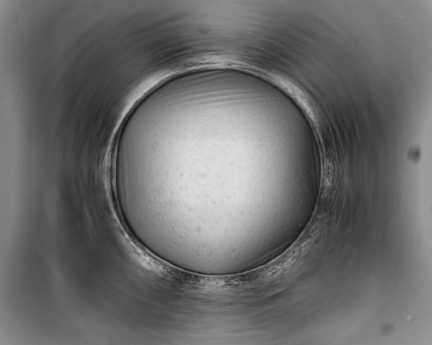 X0000100931098200807011215