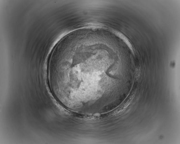 X0000100931099200807011215