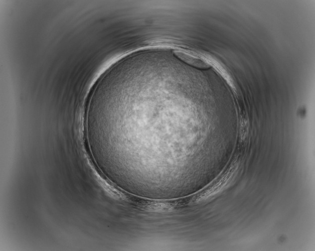 X0000100931101200807011215