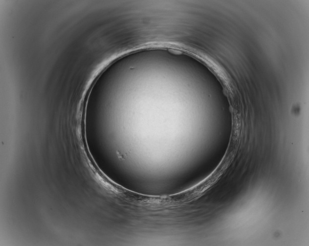 X0000100931102200807011215