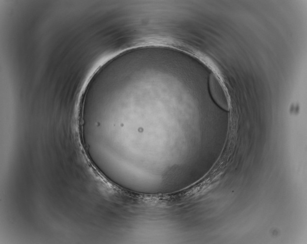 X0000100931104200807011215