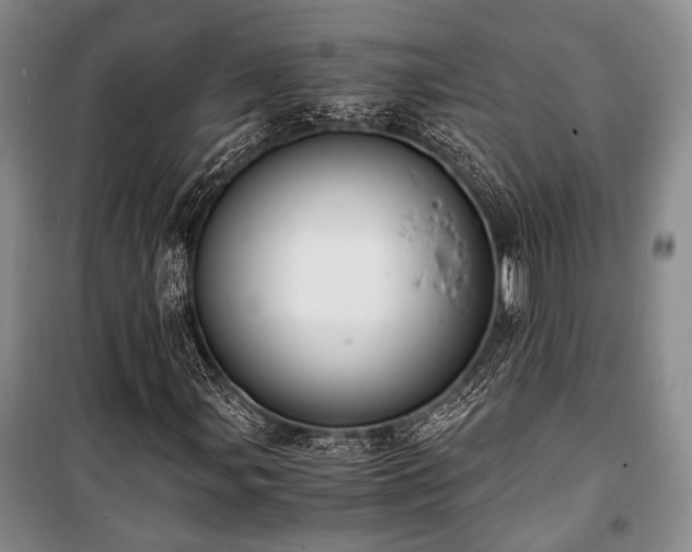 X0000100931107200807011215