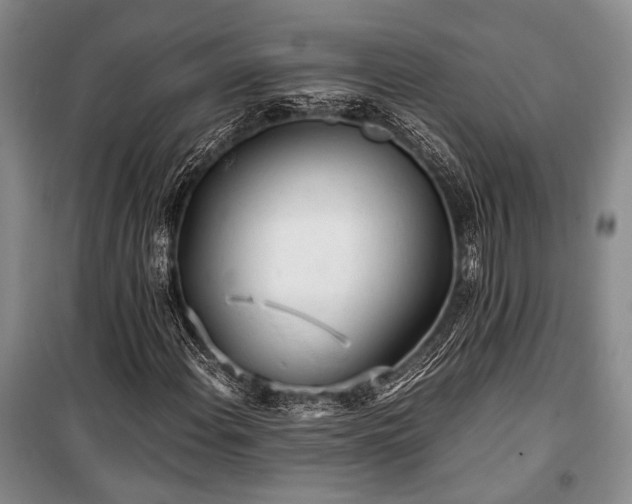 X0000100931108200807011215