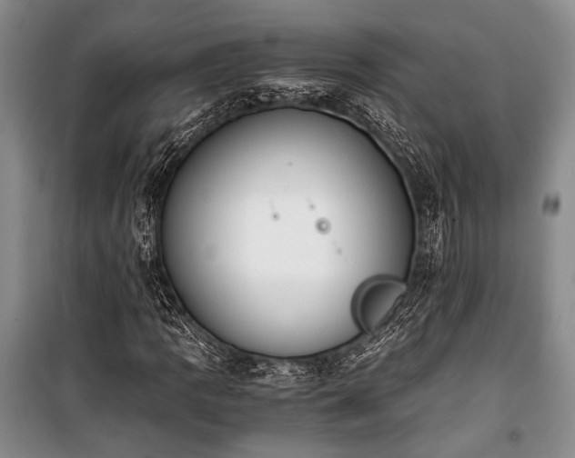 X0000100931109200807011215