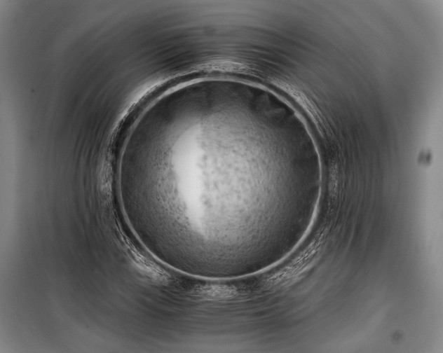 X0000100931115200807011215