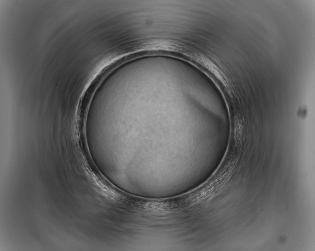 X0000100931116200807011215