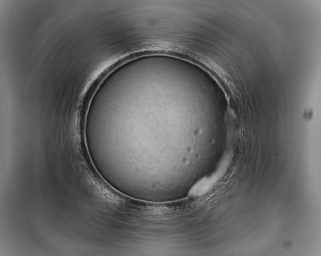 X0000100931120200807011215