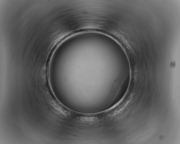 X0000100931121200807011215