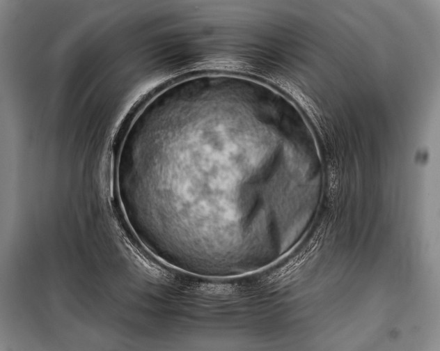 X0000100931123200807011215