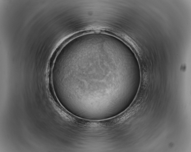 X0000100931124200807011215