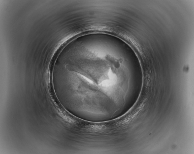 X0000100931125200807011215