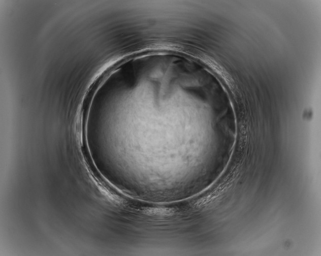 X0000100931127200807011215