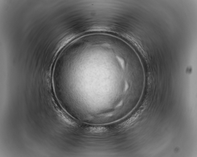 X0000100931129200807011215