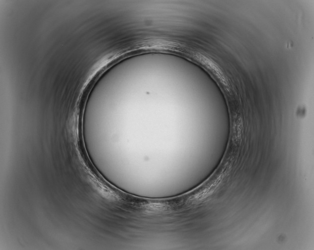 X0000100931130200807011215