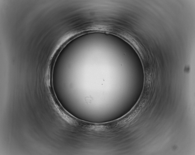 X0000100931131200807011215