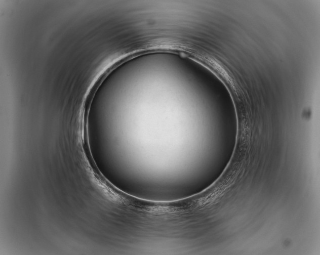 X0000100931132200807011215