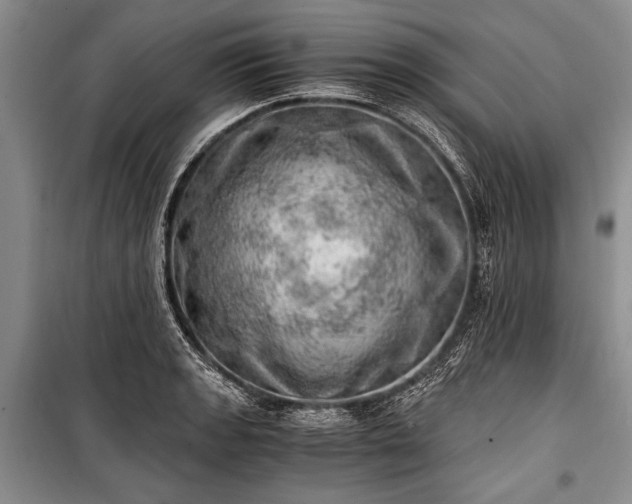 X0000100931133200807011215